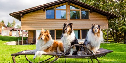 Hundehotel - Doggies: 5 Doggies - Bayern - Gutshotel Feurschwendt - Gutshotel Feuerschwendt im Bayerischen Wald