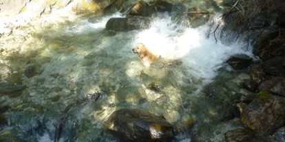 Hundehotel - Umgebungsschwerpunkt: Fluss - Ramsau am Dachstein - Herrliche Erfrischung in den Bergseen- und Bächen für die 4-Beiner. - Hotel Aloisia
