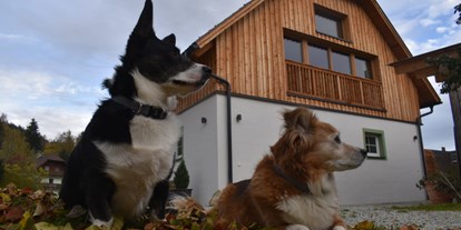 Hundehotel - Hund im Restaurant erlaubt - Ramsau am Dachstein - Hotel Aloisia