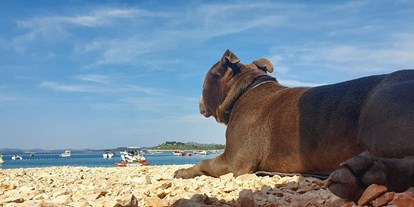 Hundehotel - ausschließlich für Hundeliebhaber - Kroatien - öffentlicher Kiesstrand - VILCAM - Urlaub am Meer mit Herz und Hund