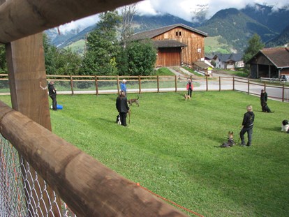 Hundehotel - Dogsitting - Schweiz - Eingezäunter Hundeplatz vor dem Hotel zum Spielen oder Trainieren. - Hotel Gravas Lodge