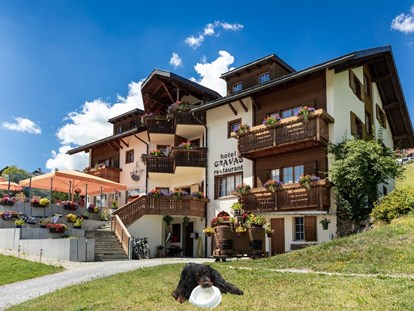 Hundehotel - Hundewiese: eingezäunt - Schweiz - Herzlich willkommen  - Hotel Gravas Lodge