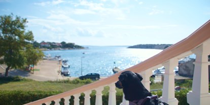 Hundehotel - Umgebungsschwerpunkt: Meer - Kroatien - Newton lässt sich die Brise um die Nase wehen! - Olive House