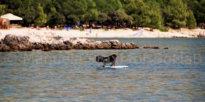 Hundehotel - Umgebungsschwerpunkt: Meer - Kroatien - Beach-Dog Max surft die Welle (500m vom Haus entfernt, großzügiger Strandabschnitt für die Vierbeiner)  - Olive House
