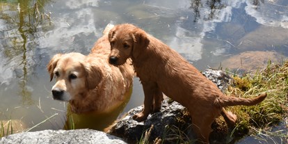 Hundehotel - Pools: Außenpool nicht beheizt - Pinzgau - Hotel Gut Brandlhof - Urlaub mit Hund im Salzburger Land - Hotel Gut Brandlhof