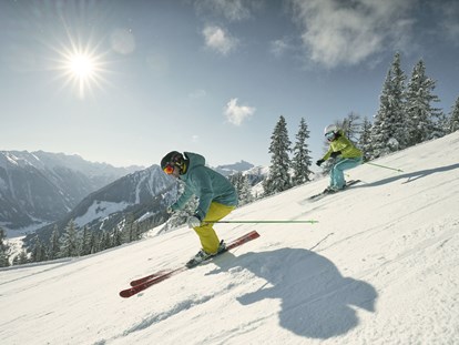 Hundehotel - Umgebungsschwerpunkt: Berg - Skifahren in der Schladming Dachstein Region - Ferienhäuser Gerhart