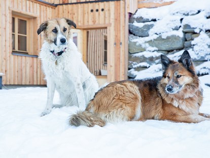 Hundehotel - Umgebungsschwerpunkt: Berg - Schladming-Dachstein - Urlaub mit Hund in den Ferienhäusern Gerhart - Ferienhäuser Gerhart