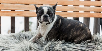 Hundehotel - Unterkunftsart: Chalets - Österreich - Luxuslodge - Zeit zum Leben