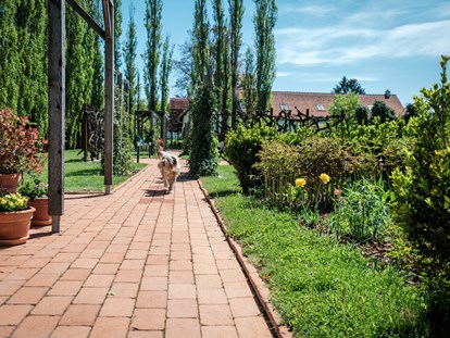 Hundehotel - Wellnessbereich - Hund im Garten - Das Eisenberg