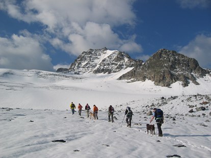 Hundehotel - Umgebungsschwerpunkt: Berg - Gletschertour mit den vierbeinigen Lieblingen - Hotel Fliana
