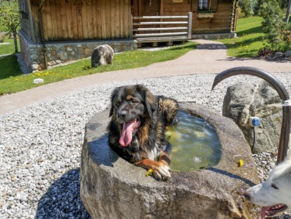 Hundehotel - Pools: Außenpool beheizt - Österreich - Puradies Naturresort