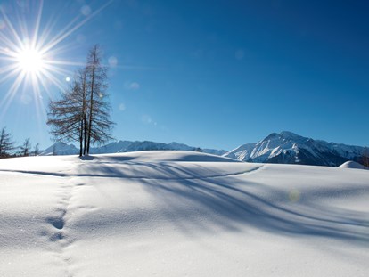 Hundehotel - Garmisch-Partenkirchen - Glitzernde Winteridylle genießen - auch im Winter ein Genuss mit Ihrem vierbeinigen Freund - Inntalerhof - DAS Panoramahotel
