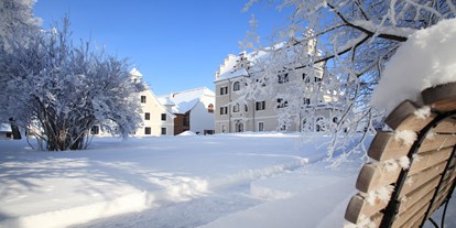 Hundehotel - Umgebungsschwerpunkt: Berg - Steiermark - Winter im Schlosspark - Hotel G´Schlössl Murtal
