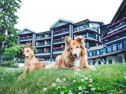 Hundehotel - Pools: Innenpool - Unser Garten - Alpin Resort Sacher