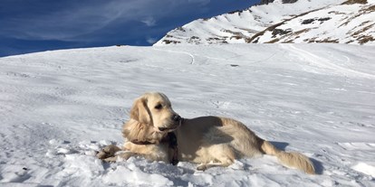 Hundehotel - Doggies: 3 Doggies - Schweiz - Sunstar Hotel Klosters