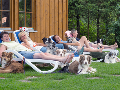 Hundehotel - Pools: Außenpool nicht beheizt - Bayern - Entspannen im Garten mit dem Hund - Hundesporthotel Wolf