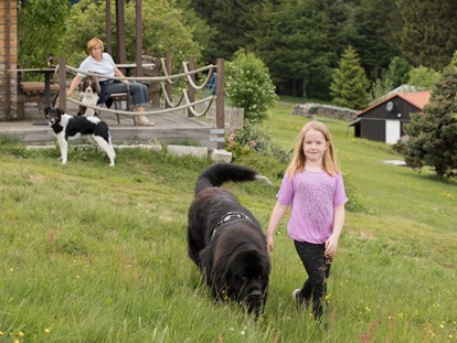 Hundehotel - Umgebungsschwerpunkt: Berg - Bayern - Bei der Aussichts-Hütte - Hunderesort Waldeck