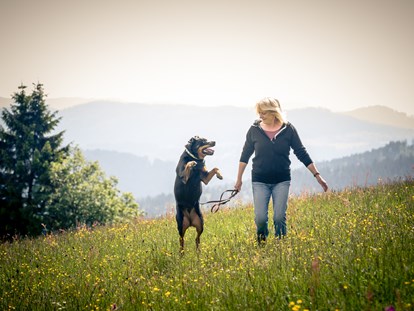 Hundehotel - Unterkunftsart: Chalets - Bayern - Auf der Auslaufwiese - Hunderesort Waldeck