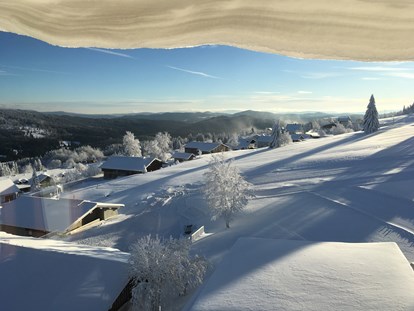Hundehotel - Ladestation Elektroauto - Bayern - Winter-Aussicht aus unserer Turmsuite - Hunderesort Waldeck