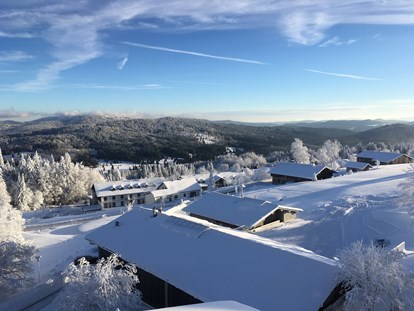 Hundehotel - Agility Parcours - Bayern - Winter-Aussicht Richtung Norden - Hunderesort Waldeck
