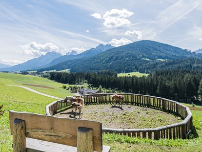 Hundehotel - Hundewiese: nicht eingezäunt - Trentino-Südtirol - Haubenthal