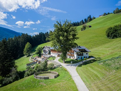 Hundehotel - Umgebungsschwerpunkt: See - Trentino-Südtirol - Haubenthal