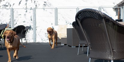 Hundehotel - Preisniveau: exklusiv - Österreich - SKI | GOLF | WELLNESS Hotel Riml****S