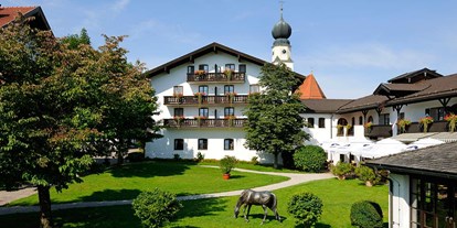 Hundehotel - Umgebungsschwerpunkt: Berg - Bayern - Hotel - Hotel Gut Ising 
