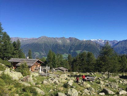 Hundehotel - Agility Parcours - Trentino-Südtirol - Wanderhotel Vinschgerhof