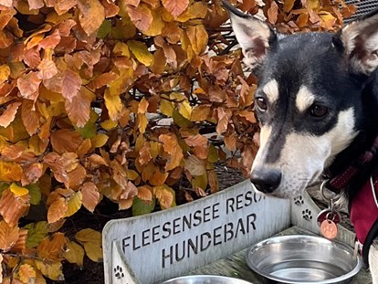 Hundehotel - Wellnessbereich - Fleesensee Resort & Spa