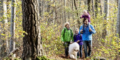 Hundehotel - Schwarzwald - Vier Jahreszeiten am Schluchsee - der Wald in unmittelbarer Nähe - Vier Jahreszeiten am Schluchsee