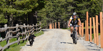 Hundehotel - Sauna - Trentino-Südtirol - Wandern oder Radfahren mit Hund - Sambergerhof