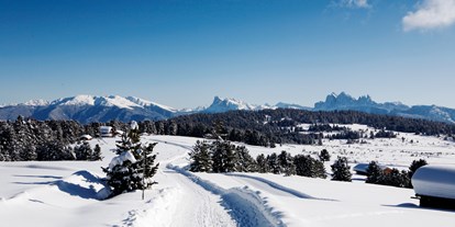 Hundehotel - Ladestation Elektroauto - Trentino-Südtirol - Winterwandern auf der Villanderer Alm  - Sambergerhof