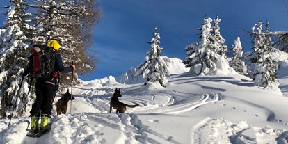 Hundehotel - Preisniveau: günstig - Trentino-Südtirol - Skitour mit unseren beiden Hunden - Hotel Steinhauswirt