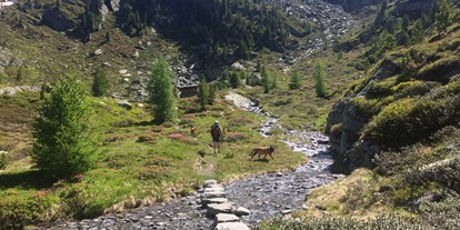 Hundehotel - Hundewiese: nicht eingezäunt - Trentino-Südtirol - Wanderung im Ahrntal mit unseren Hunden - Hotel Steinhauswirt