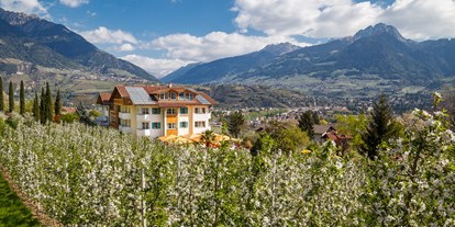 Hundehotel - Hundewiese: nicht eingezäunt - Trentino-Südtirol - Blick auf das Hotel - Landhaus Hotel Kristall