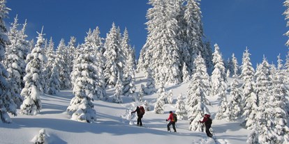 Hundehotel - Hallenbad - Steiermark - Winterwanderung - Erzberg Alpin Resort