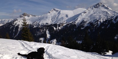 Hundehotel - Eisenerz - Hundespuren im Schnee - Erzberg Alpin Resort