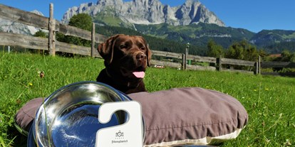 Hundehotel - Umgebungsschwerpunkt: Stadt - Tiroler Unterland - Hunde willkommen - Bio-Hotel Stanglwirt