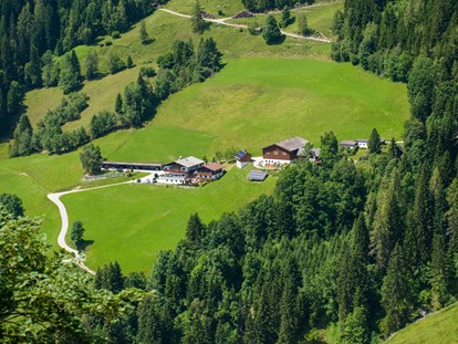 Hundehotel - Umgebungsschwerpunkt: Berg - Steiermark - Bergbauernhof Irxner