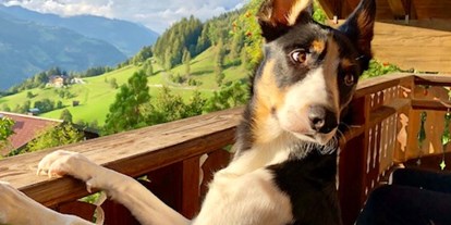 Hundehotel - Unterkunftsart: Chalet - Balkon im Art Chalet - Art Chalet Vorderschuhzach