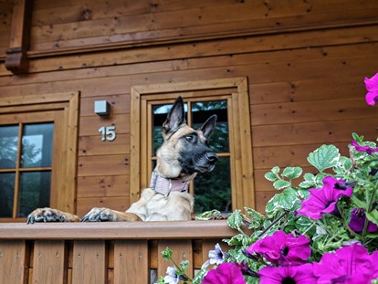 Hundehotel - Doggies: 4 Doggies - Österreich - vor dem Haus - Feriendorf Oberreit