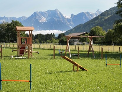 Hundehotel - Unterkunftsart: Chalets - Pinzgau - Spielplatz und Agilityplatz - Feriendorf Oberreit