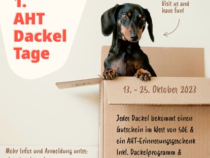 Hundehotel - Preisniveau: moderat - Österreich - Alpenhotel Tyrol - 4* Adults Only Hotel am Achensee