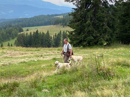 Hundehotel - Umgebungsschwerpunkt: am Land - Österreich - Wanderung 7 Hüttenwandertour - Naturforsthaus 