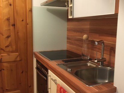 Hundehotel - Graz - Moderne und gut ausgestattete Pantryküche in der kleinen Wohnung - Naturforsthaus 