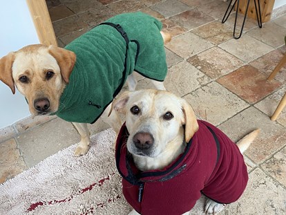 Hundehotel - Verpflegung: alkoholfreie Getränke ganztags inklusive - Bademäntel für Hunde vorhanden  - Naturforsthaus 