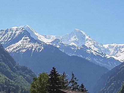 Hundehotel - Umgebungsschwerpunkt: Berg - Schweiz - Aussicht von unserem Chalet - Chalet-Gafri BnB - traditionelle Frühstückspension 