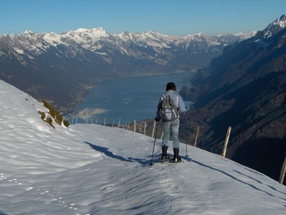 Hundehotel - Umgebungsschwerpunkt: Berg - Schweiz - Winterwandern und Schneeschuhlaufen in idyllischer Umgebung  - Chalet-Gafri BnB - traditionelle Frühstückspension 