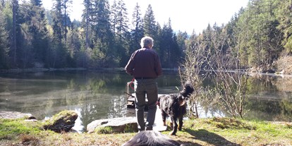 Hundehotel - Bergwanderungen - viele schöne Teiche und Seen in unmittelbarer Nähe!! - Ferienhaus Harmonie